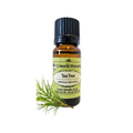 Tea Tree Common (Melaluca alternifolia) (Umuthi)