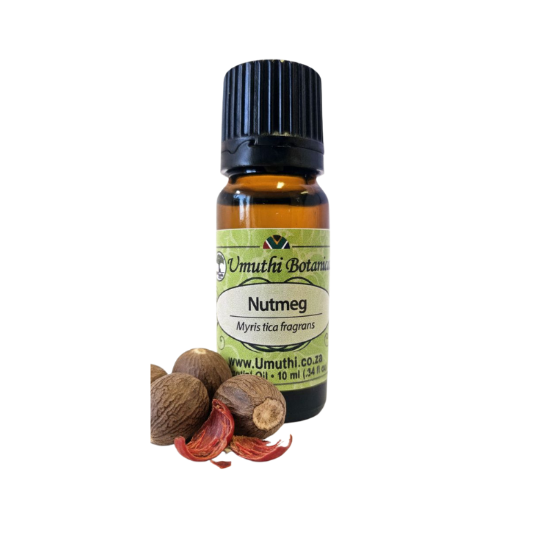 Nutmeg (Myristica fragrans) (Umuthi)