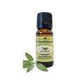 Sage (Salvia officinalis) (Umuthi)