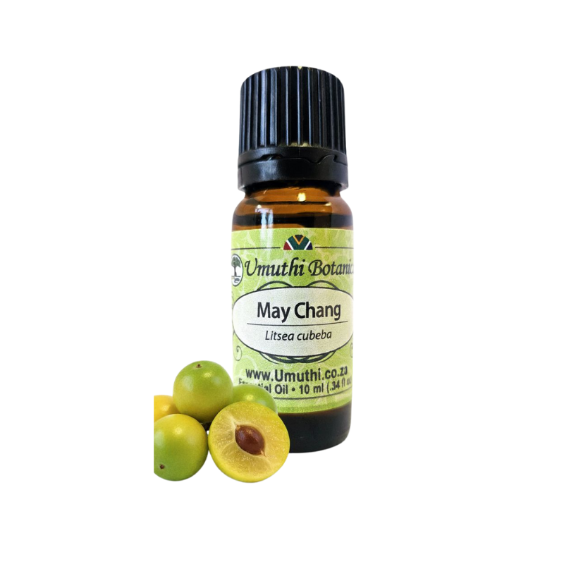 May Chang (Litsea cubeba) (Umuthi)