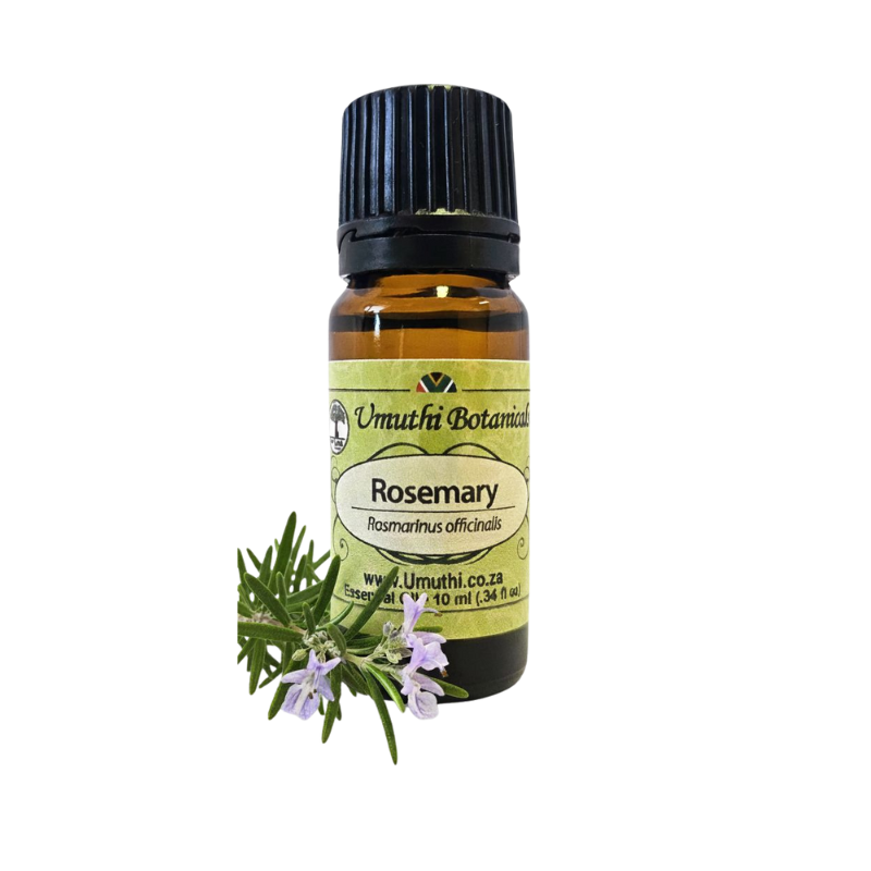 Rosemary (Rosmarinus officinalis) (Umuthi)