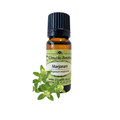 Marjoram (Origanum majorana) (Umuthi)