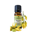 Ylang Ylang - Top Grade 1 (Cananga odorata) (Umuthi)