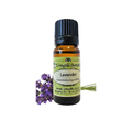 Lavender (Lavendula augustifolia) (Umuthi)