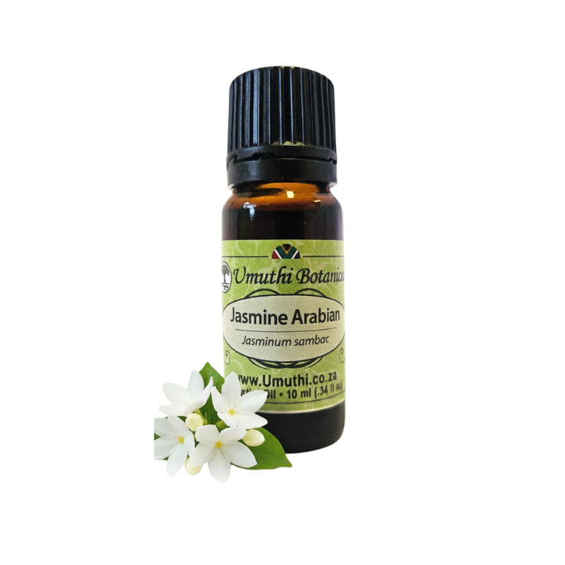 Jasmine Arabian (Jasmanim Sambac) (Umuthi)