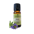 Hyssop (Hyssopus officinalis) (Umuthi)