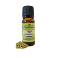 Fennel (Foeniculum vulgare) (Umuthi)