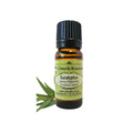 Eucalyptus Narrow Peppermint (Eucalyptus radiata) (Umuthi)