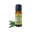 Eucalyptus Blue Gum (Eucalyptus globulus) (Umuthi)