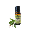 Eucalyptus Lemon (Eucalyptus citriodora) (Umuthi)