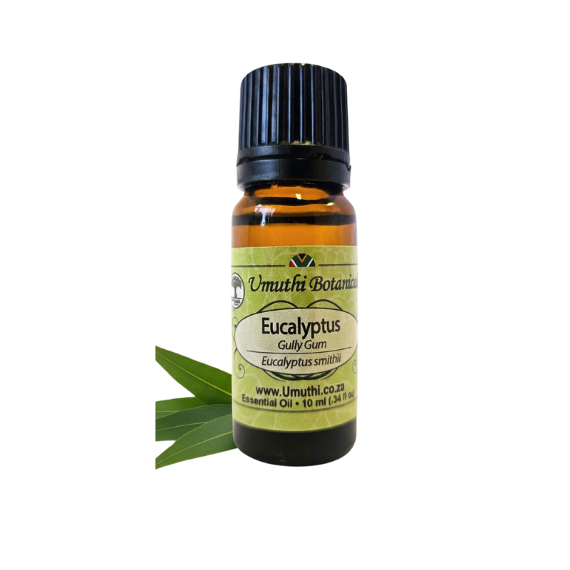 Eucalyptus Gully Gum (Eucalyptus smithii) (Umuthi)
