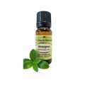 Wintergreen Oil (Gaultheria procumbens) (Umuthi)
