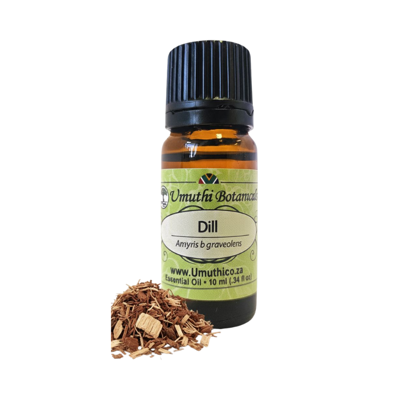 Dill (Anethum  graveolens) (Umuthi)
