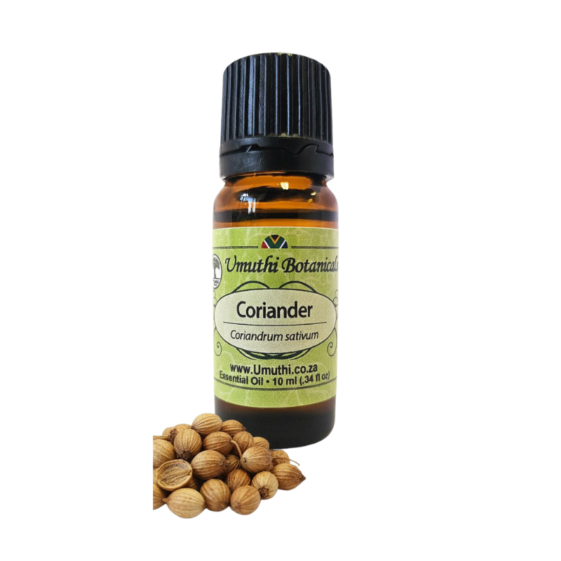 Coriander Seed (Coriandrum sativum) (Umuthi)