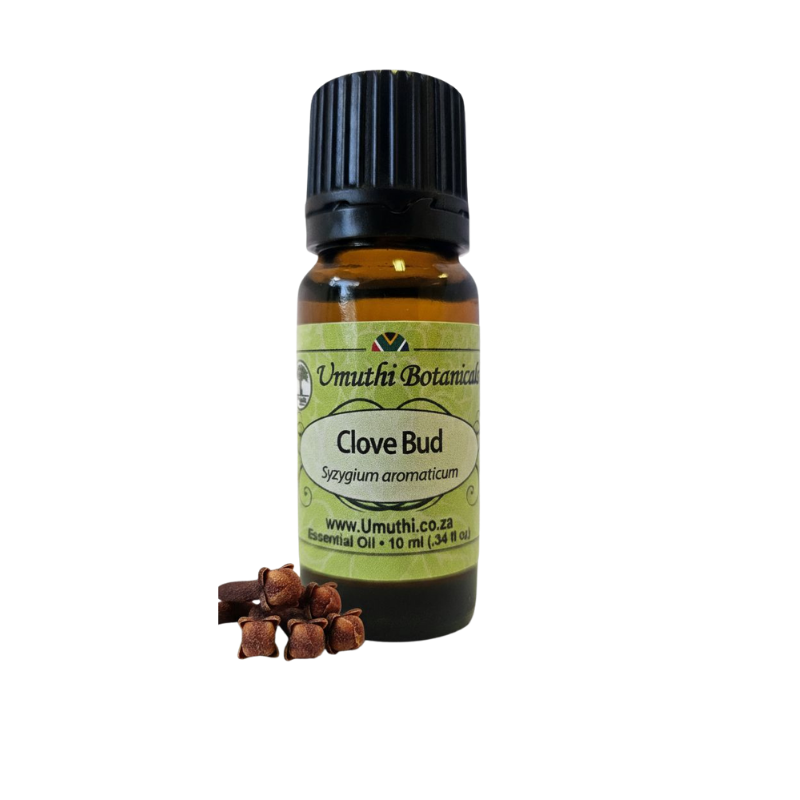 Clove Bud (Syzygium aromaticum) (Umuthi)