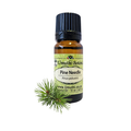 Pine Needle (Pinus palustris) (Umuthi)