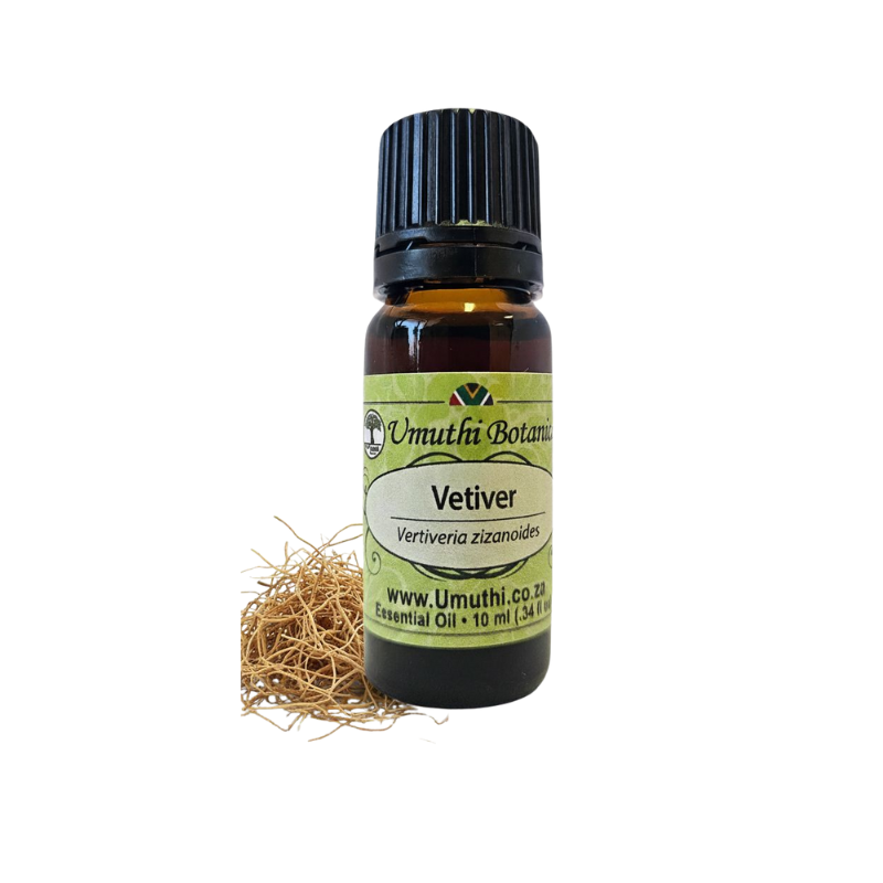 Vetiver (Vertiveria zizanoides) (Umuthi)