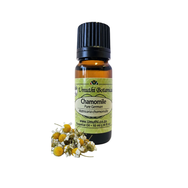 Chamomile Pure German (Matricaria chamomilla) (Umuthi)