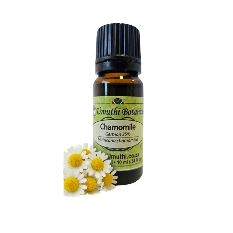 Chamomile German 25% (Matricaria chamomilla) (Umuthi)
