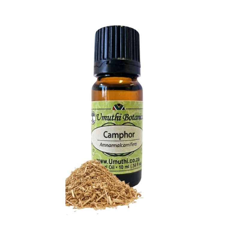Camphor (Cinnamomum camphora) (Umuthi)