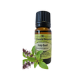 Basil, Holy (Ocimum tenuiflorum) (Umuthi)