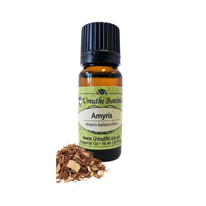 Amyris - West Indian Sandalwood (Amyris balsamifera) (Umuthi)