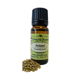 Aniseed (Pimpinella anisum) (Umuthi)