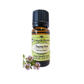 Thyme Red (Thymus vulgaris) (Umuthi)