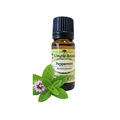 Peppermint (Mentha piperita) (Umuthi)