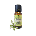Thyme White (Thymus vulgaris) (Umuthi)