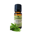 Tea Tree Lemon (Leptospermum petersonii) (Umuthi)