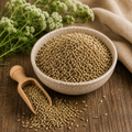 Aniseed