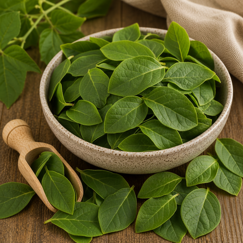 Bearberry Leaves