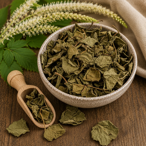 Blackberry Leaves