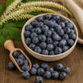 Blackthorn/Sloe Berries