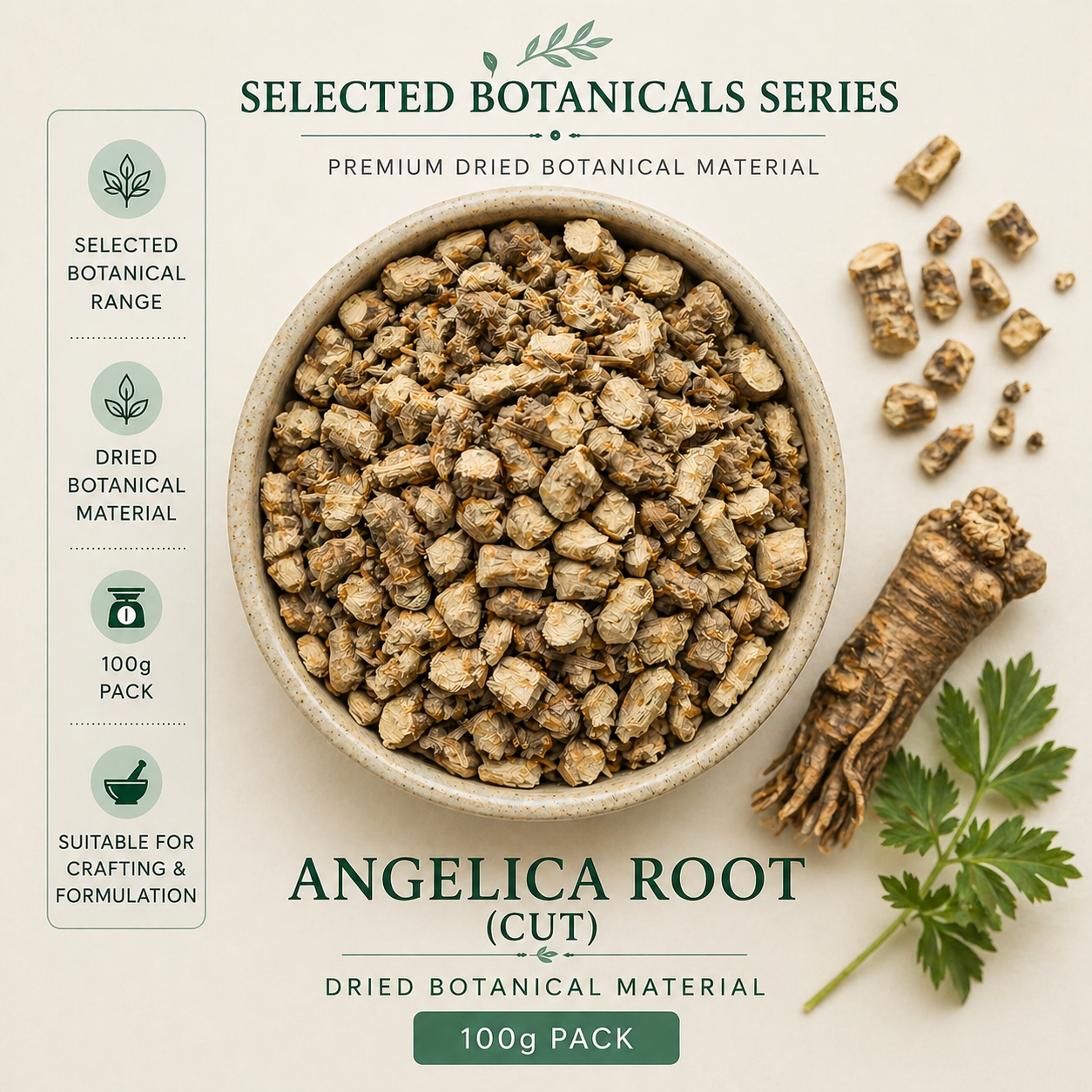 Angelica Root - Selected Botanicals Series (100G)
