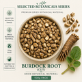 Burdock Root  - Selected Botanicals Series (100G)