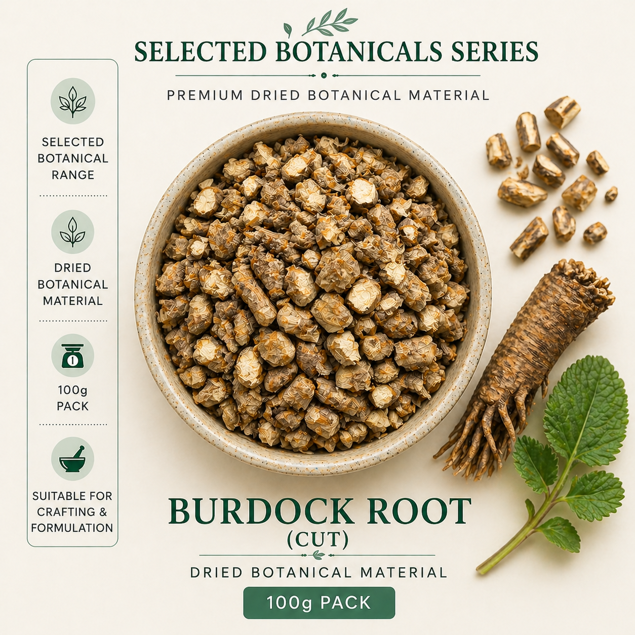 Burdock Root  - Selected Botanicals Series (100G)