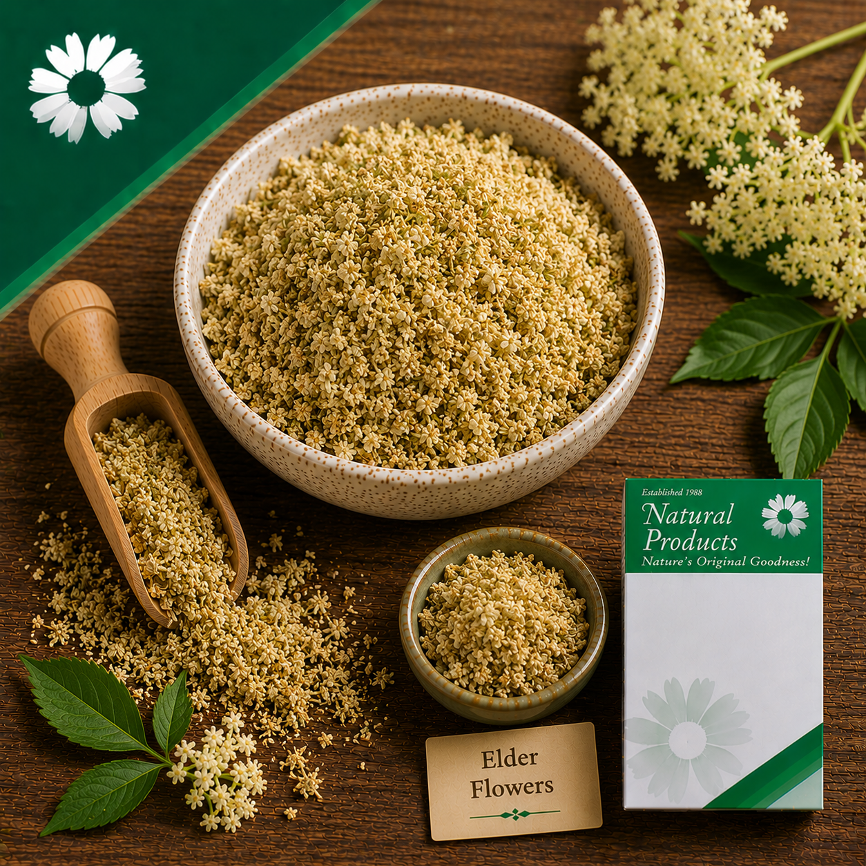 Elder Flowers