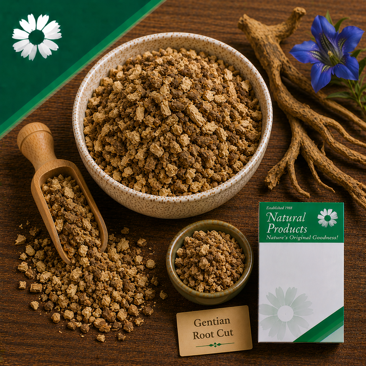 Gentian Root Cut