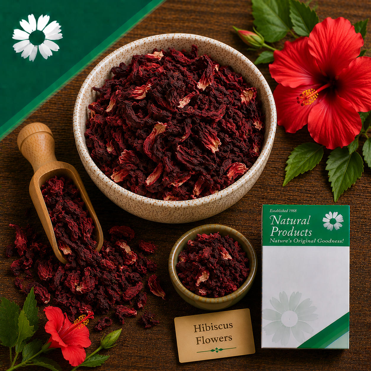 Hibiscus Flowers