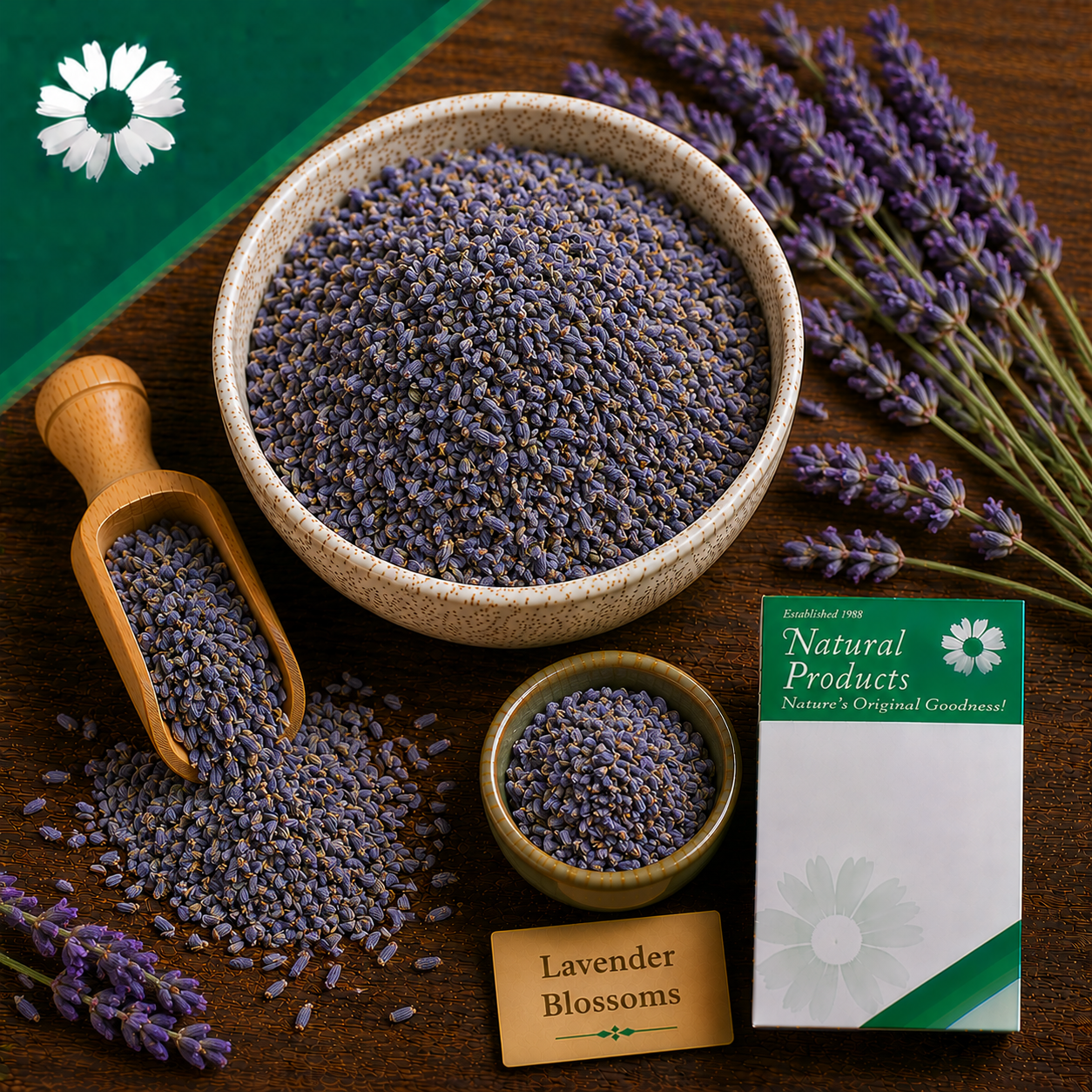 Lavender Blossoms