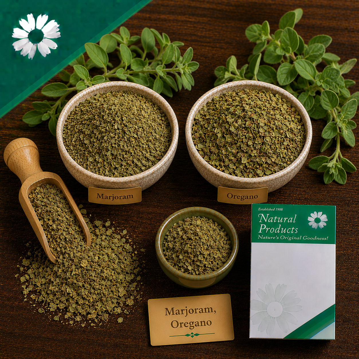 Marjoram, Oregano