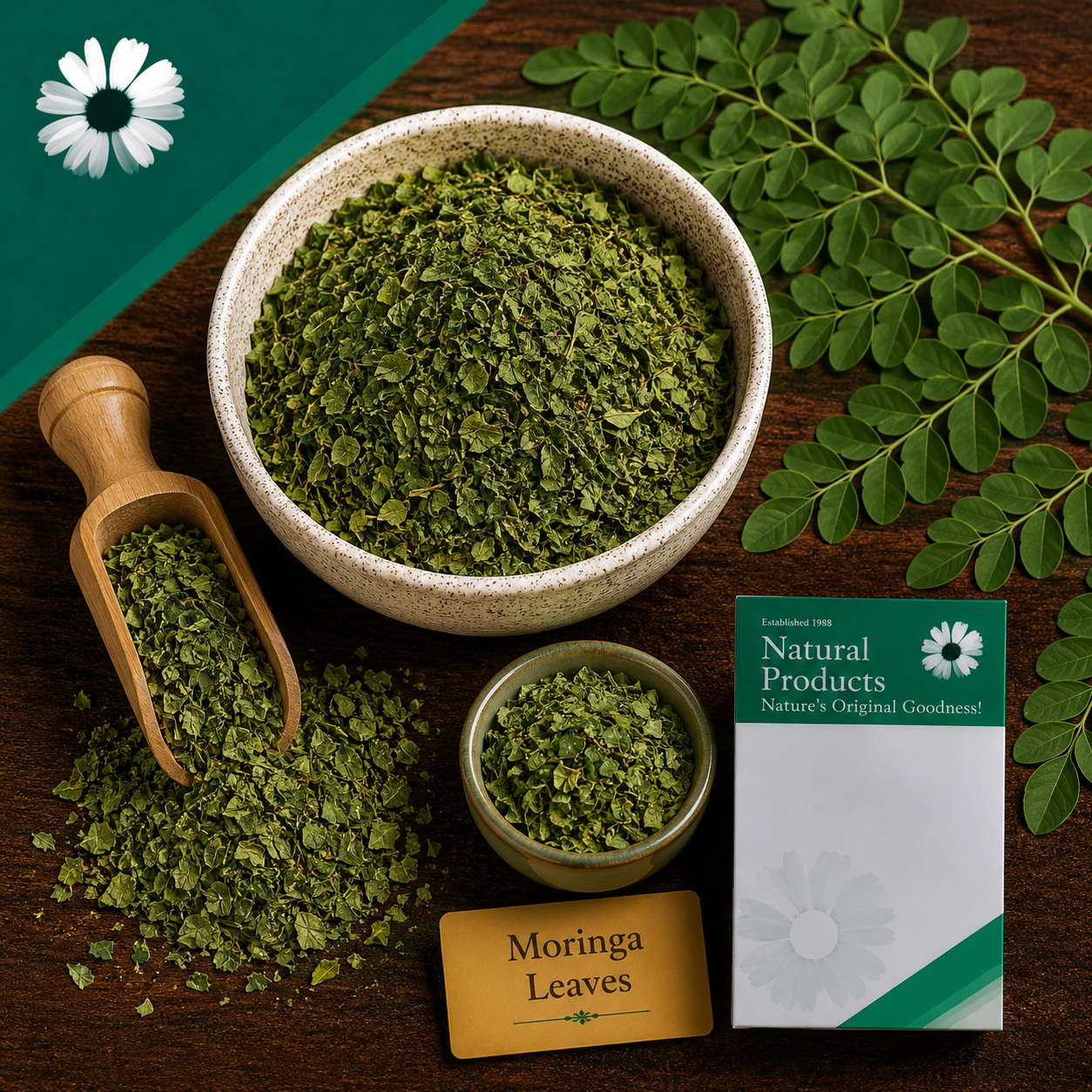 Moringa Leaves