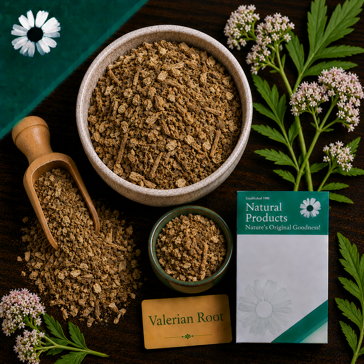 Valerian Root
