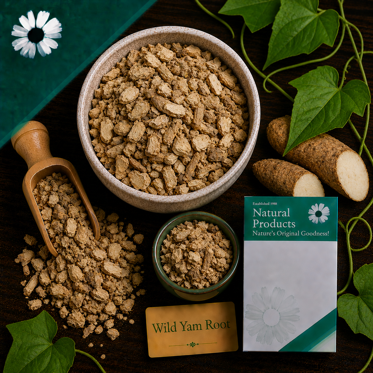 Wild Yam Root