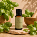 Basil Sweet Pure Essential Oil