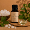 Camphor Pure Essential Oil