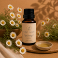 Cape Chamomile Essential Oil (Organic)