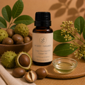 Cape Chestnut Oil (Yangu Oil)